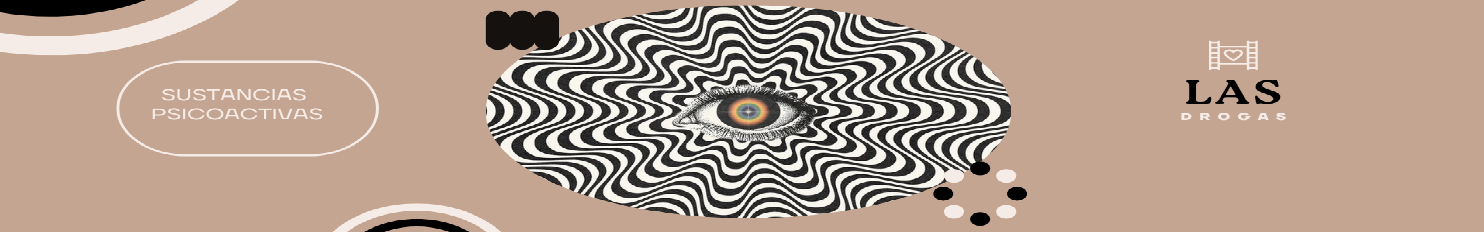 Banner Header